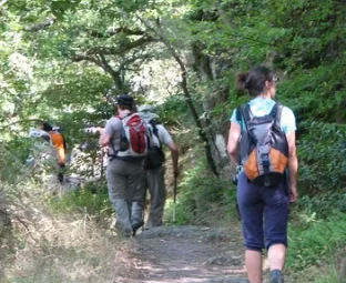 [MOIS DE LA RANDO] Balade autour de Pont-Salomon